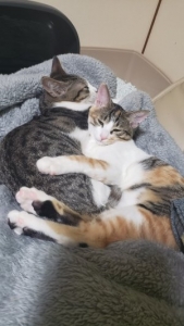 給与について(^-^)のアイキャッチ画像