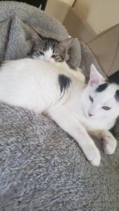 ★面接編★のアイキャッチ画像