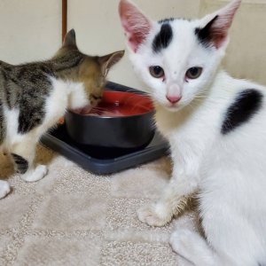 ★出勤編★のアイキャッチ画像