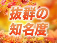 福島美女図鑑で働くメリット2