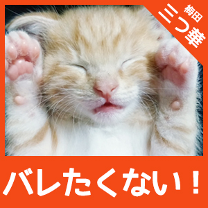 『絶対バレたくない』アナタは三つ華で決まり♪のアイキャッチ画像