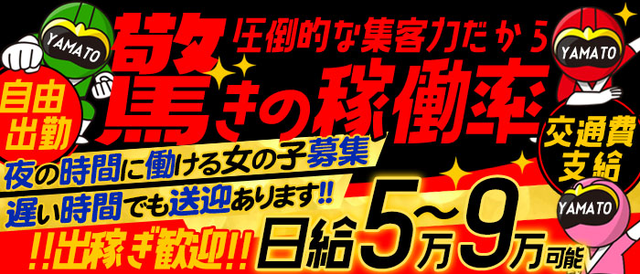 大和ナデシコ～人妻M性感～の求人画像