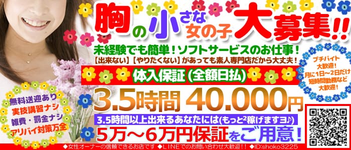 貧乳パラダイス
