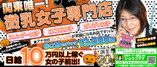 貧乳パラダイス