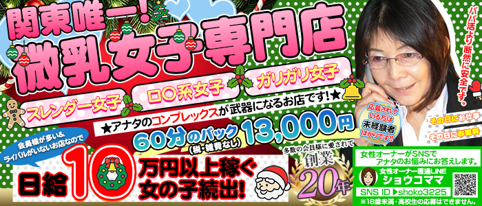 貧乳パラダイス