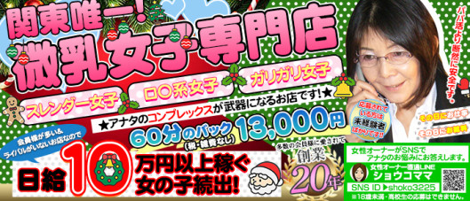 貧乳パラダイス