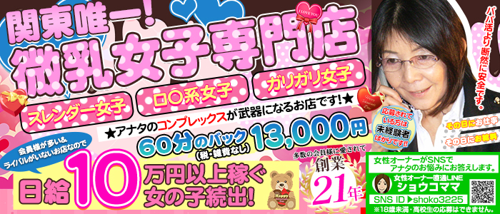 貧乳パラダイス