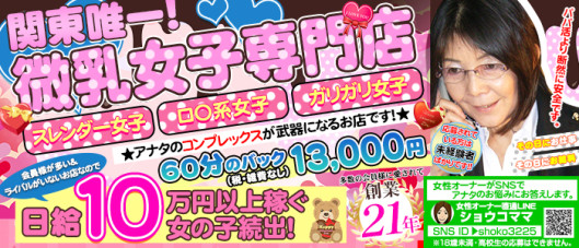 貧乳パラダイス