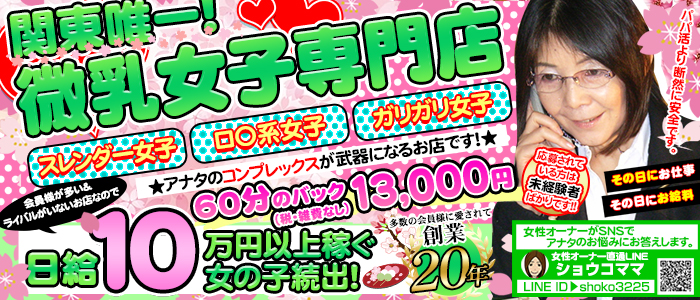 貧乳パラダイスの求人画像