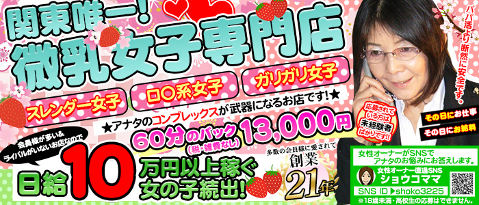 貧乳パラダイス
