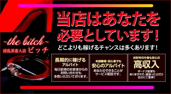 the bitch 淫乱系素人店(ビッチ)