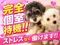 八尾藤井寺羽曳野ちゃんこで働くメリット3