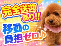 八尾藤井寺羽曳野ちゃんこで働くメリット8