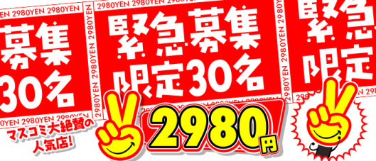 2980円(ハピネスグループ)