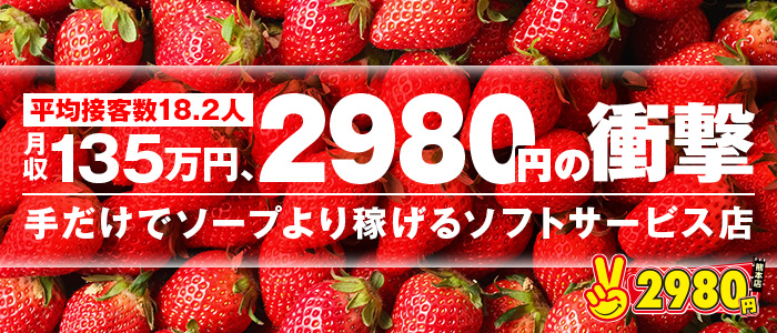 熊本2980円の求人画像