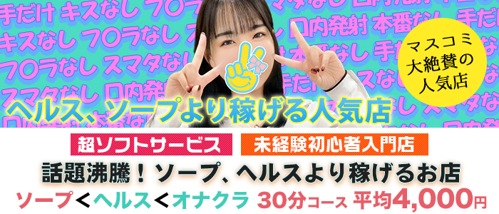 2980円（ハピネスグループ）の出稼ぎ求人画像