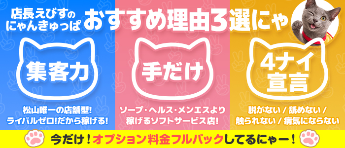 2980円（にゃんきゅっぱ）の求人画像