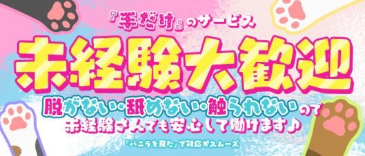 2980円(にゃんきゅっぱ)