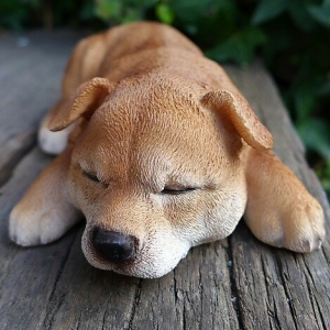 初めてのアイキャッチ画像