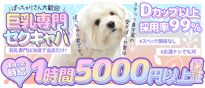 X-PARTYの求人画像