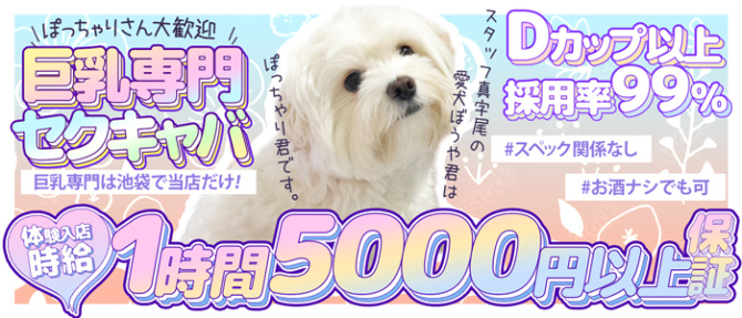 X-PARTYのぽっちゃり求人画像