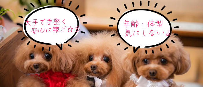 横浜・関内サンキュー