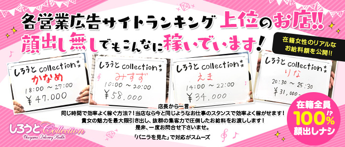 しろうとcollectionの求人情報