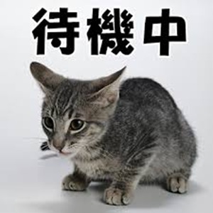 待機中って何してる？リアルな過ごし方！！のアイキャッチ画像