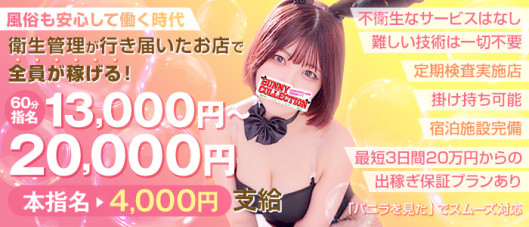 バニーコレクション秋田