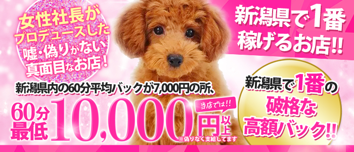 ROOKIE～ルーキー～