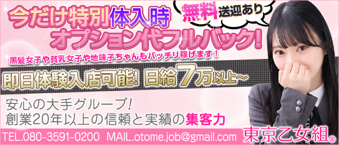 東京乙女組 新宿校の求人画像
