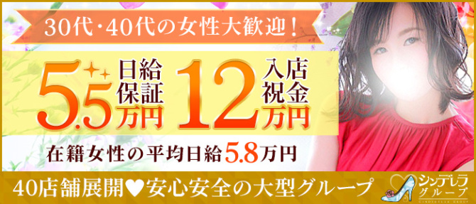 五反田人妻ヒットパレード(シンデレラグループ)のぽっちゃり求人画像