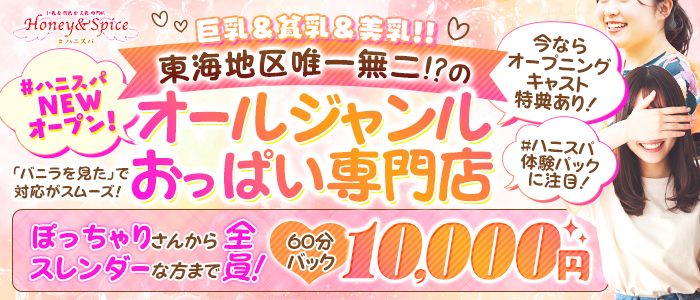 巨乳&貧乳&美乳 Honey&Spiceの求人情報