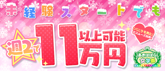あきはばら女学園