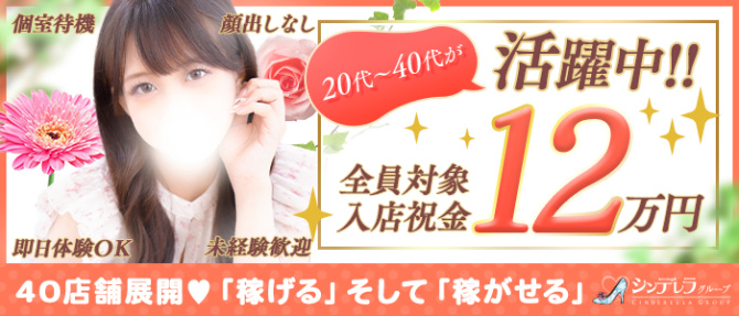 錦糸町人妻ヒットパレード(シンデレラグループ)のぽっちゃり求人画像