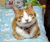 親の背中のアイキャッチ画像