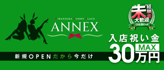 ANNEX