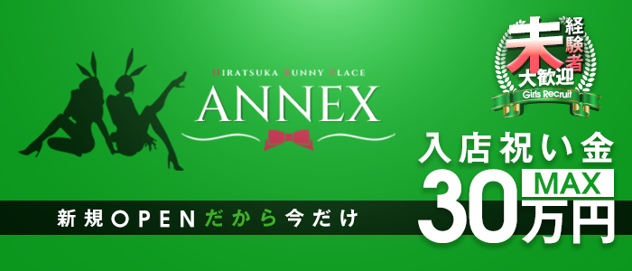ANNEX
