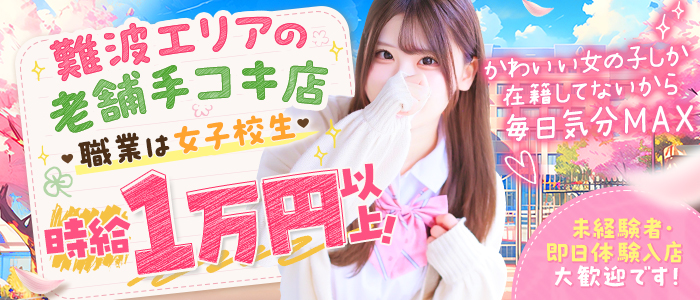 女子校生はやめられないの求人画像