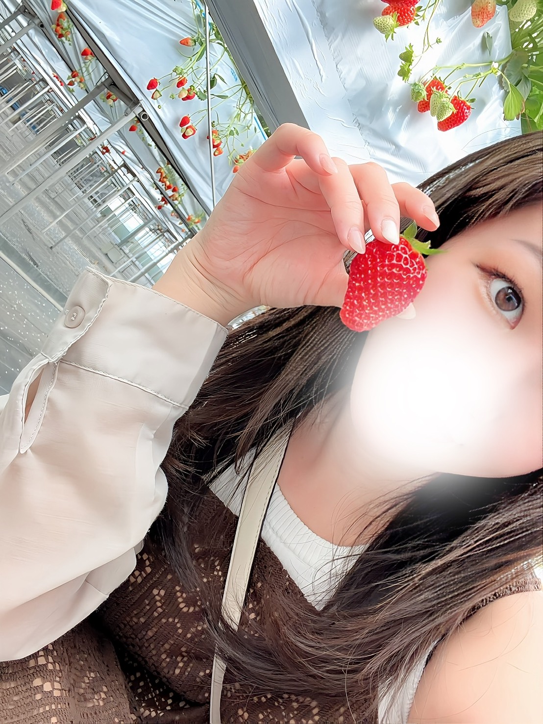 かほさん