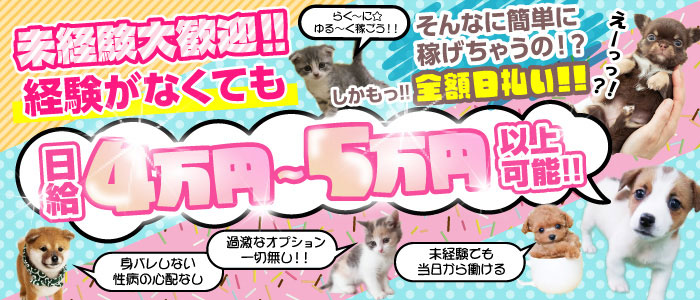 Tバックエステ 池袋店の未経験求人画像