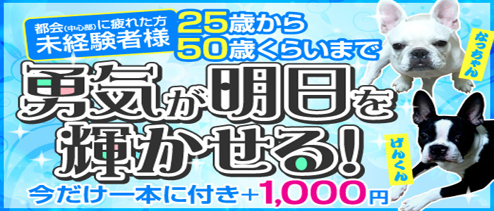 女遊屋