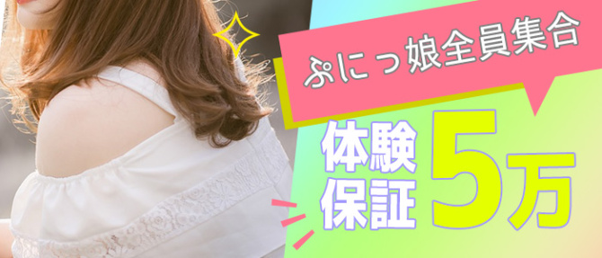どMな素人娘お貸しします。のぽっちゃり求人画像