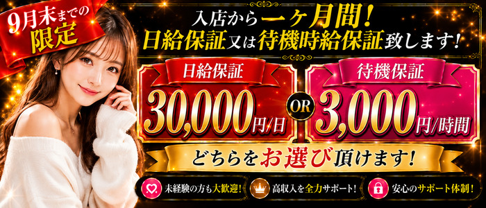 成田人妻最高級倶楽部の求人画像