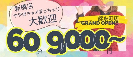 新橋夜這右衛門娼店の求人情報