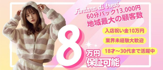 トレビの泉(松山)の求人情報