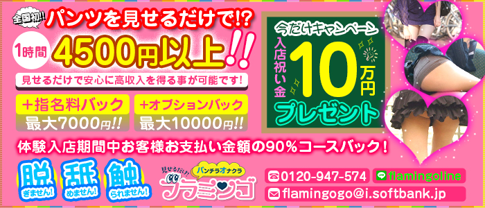 フラミンゴ