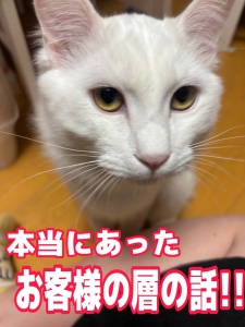 【本当にあった😨】旭川のお客様の層のお話👻😱💦💦💦💦のアイキャッチ画像