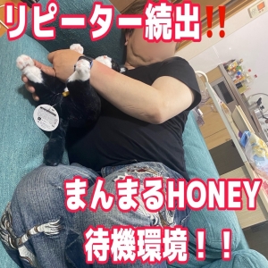 ✨🐝待機環境をお教えしますよ〜‼️🍯✨のアイキャッチ画像