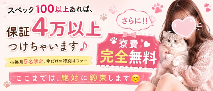 エプロンレディーの出稼ぎ求人画像